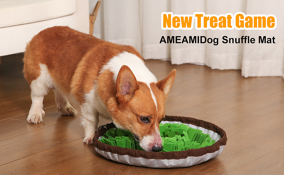 主图设计产品视频制作宠物亚马逊静物拍摄宠物用品拍照（图ZMzQ2MTM5MjU2） - 电商 - 站酷设计师零晨视觉摄影原创素材 - 站酷ZCOOL