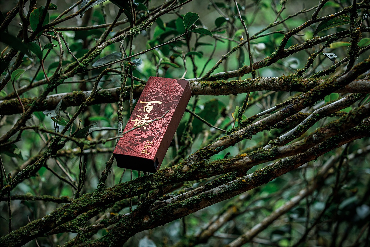 户外茶叶礼盒拍摄（图ZMzY1NzY5OTky） - 产品摄影 - 站酷设计师听说你也来过原创素材 - 站酷ZCOOL