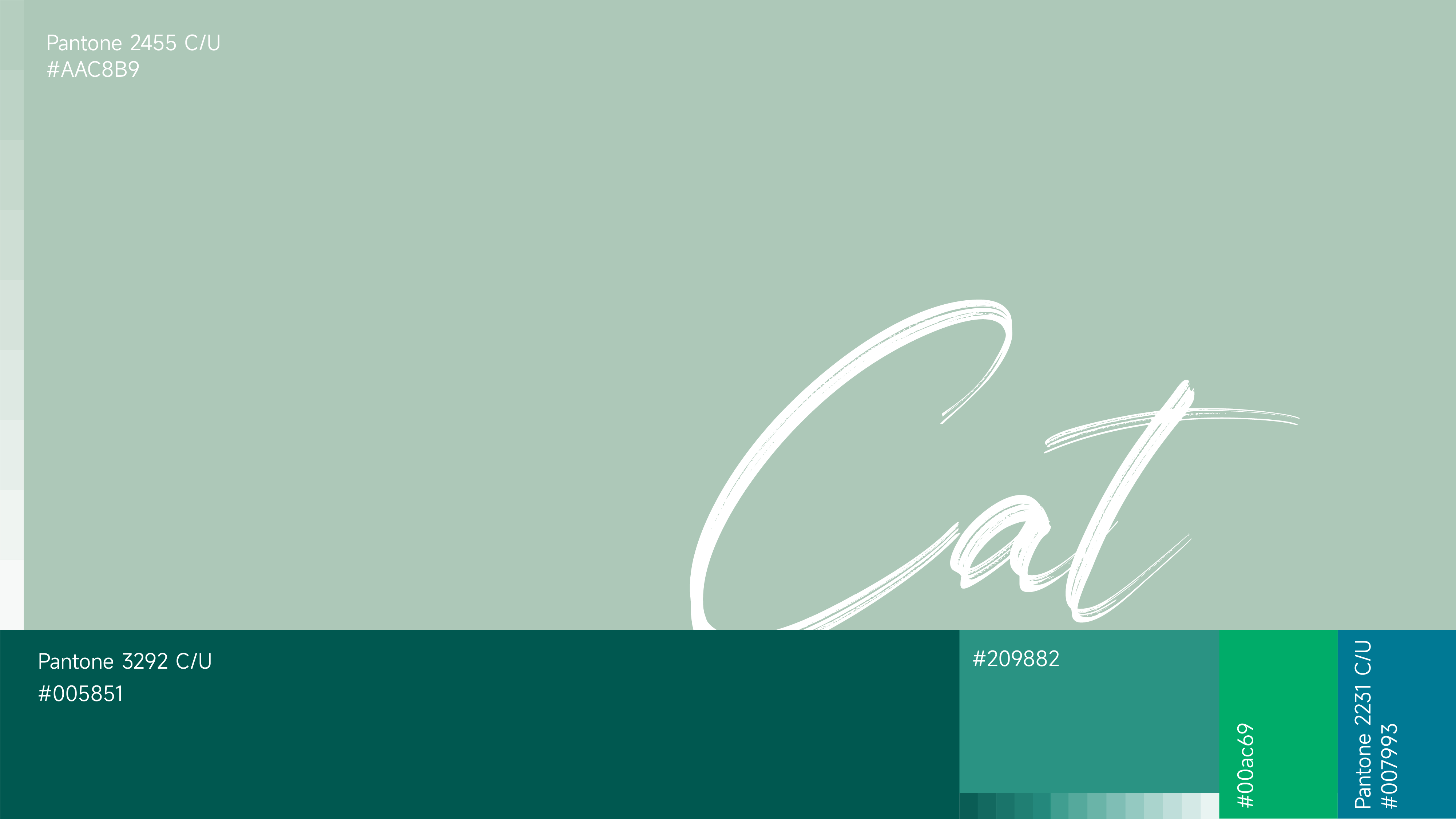 宠物品牌全案设计/标志升级/系列包装设计