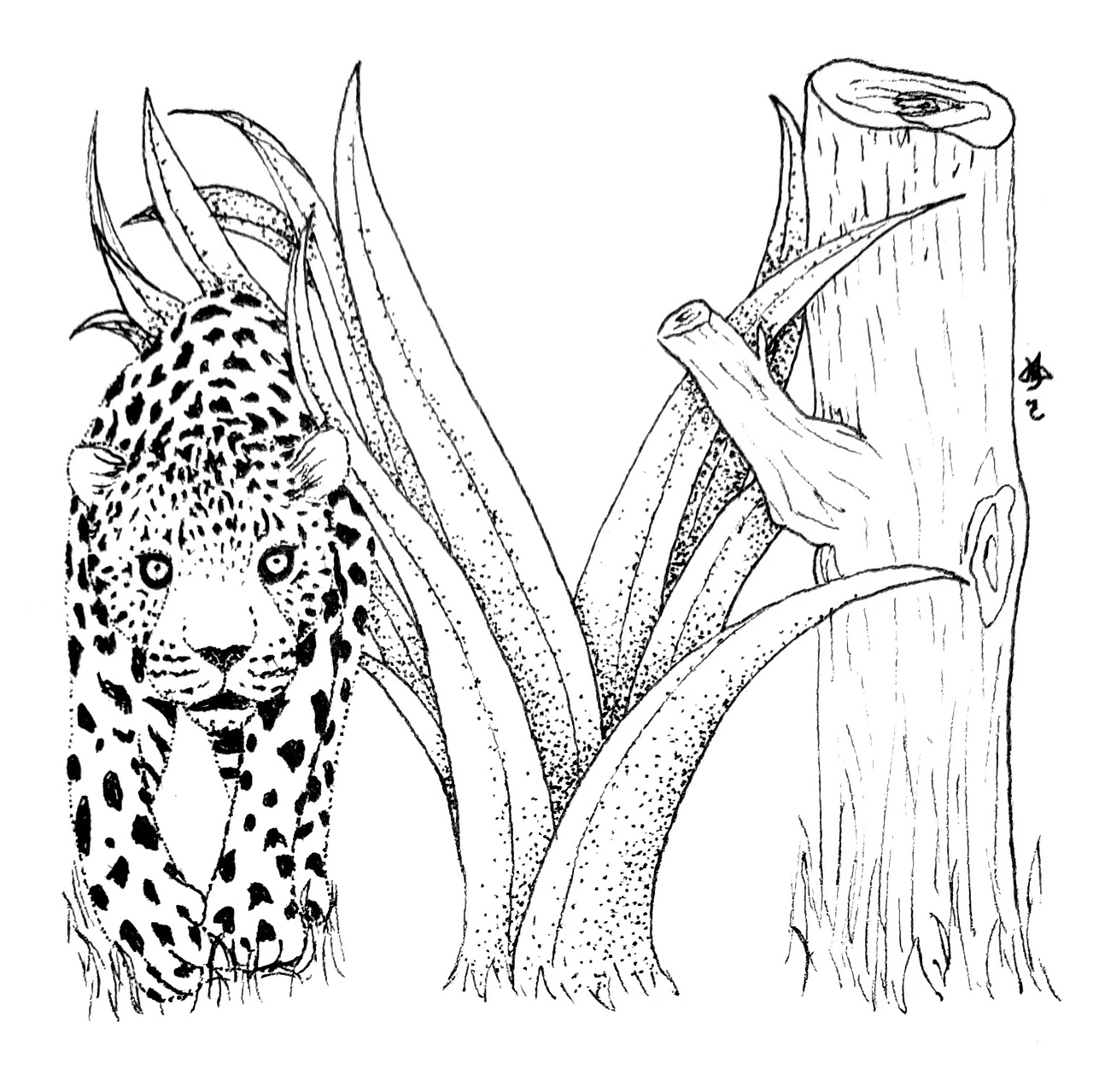 坚持创作也是不容易的事啊