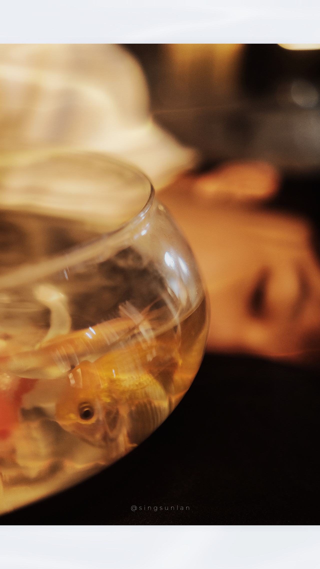 金魚少年（圖ZMzE0MzQ4NTY0） - 人像攝影 - 站酷設(shè)計(jì)師林生菜原創(chuàng)素材 - 站酷ZCOOL