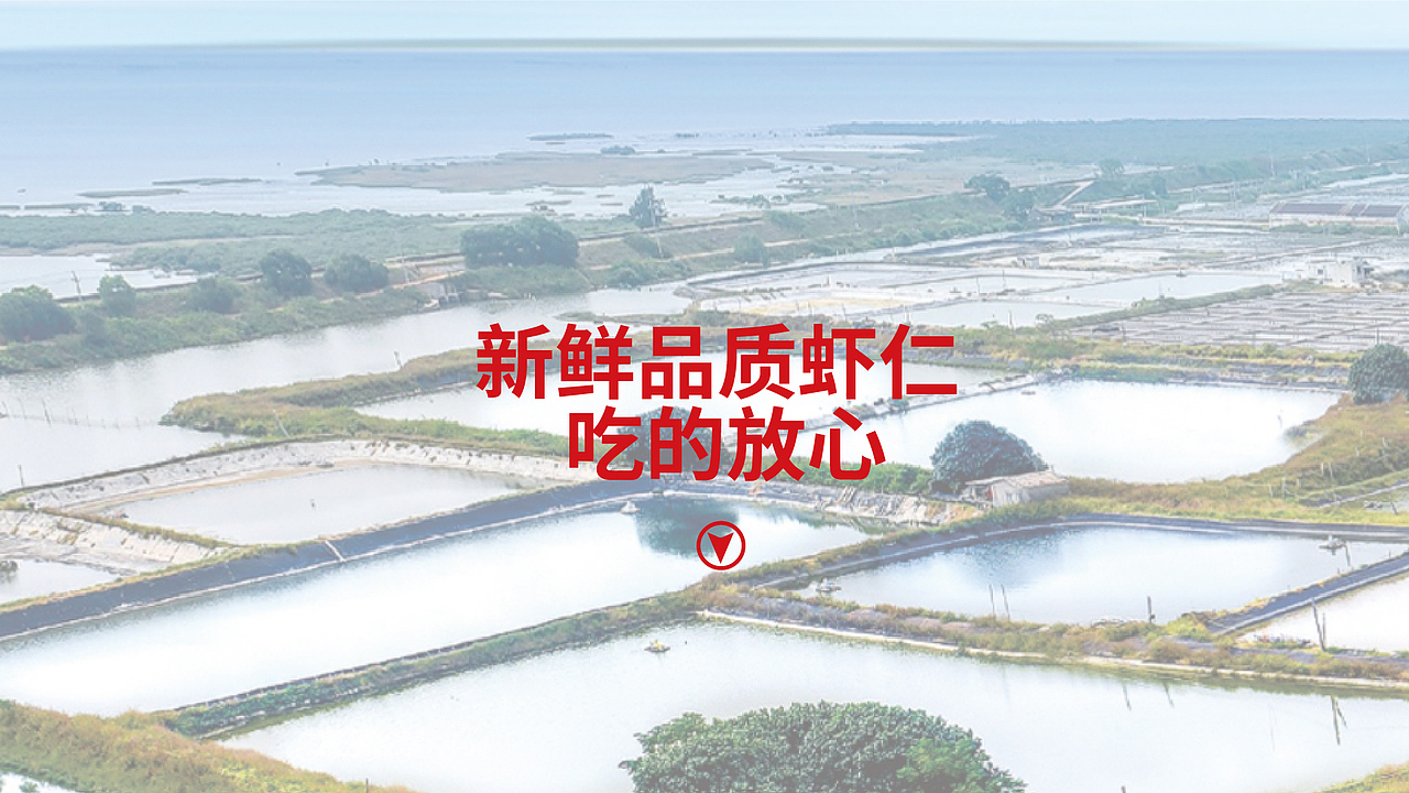 《大域虾将》手打虾滑品牌设计(图ZMzE1MTc5Nzc2) - 品牌 - 站酷设计师辉尝有范原创素材 - 站酷ZCOOL