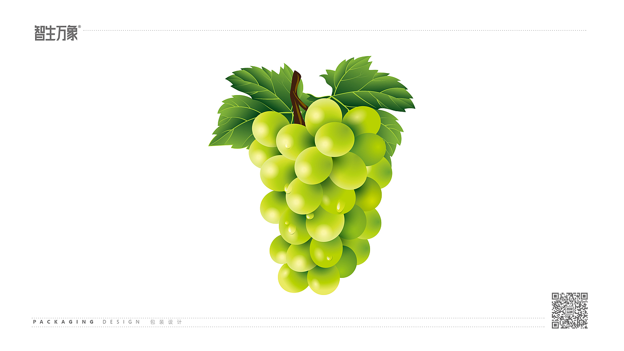 陈氏阳光X智生万象 | 包装设计 就要把食欲感拉满