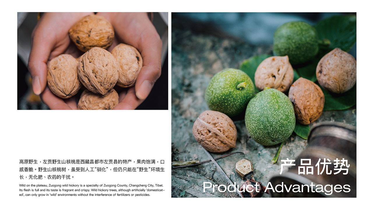 厦门援藏助农产品| “山海一鹭” 野生核桃油包装设计(图ZMzUxNjkyMDEy) - 包装 - 站酷设计师厦门道威尔设计原创素材 - 站酷ZCOOL