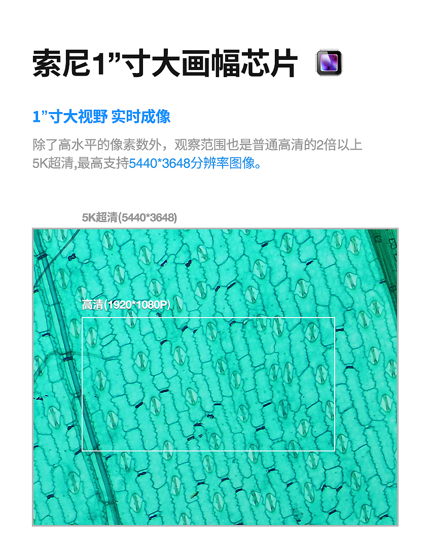 科研级生物显微镜 奥斯微L608生物显微镜