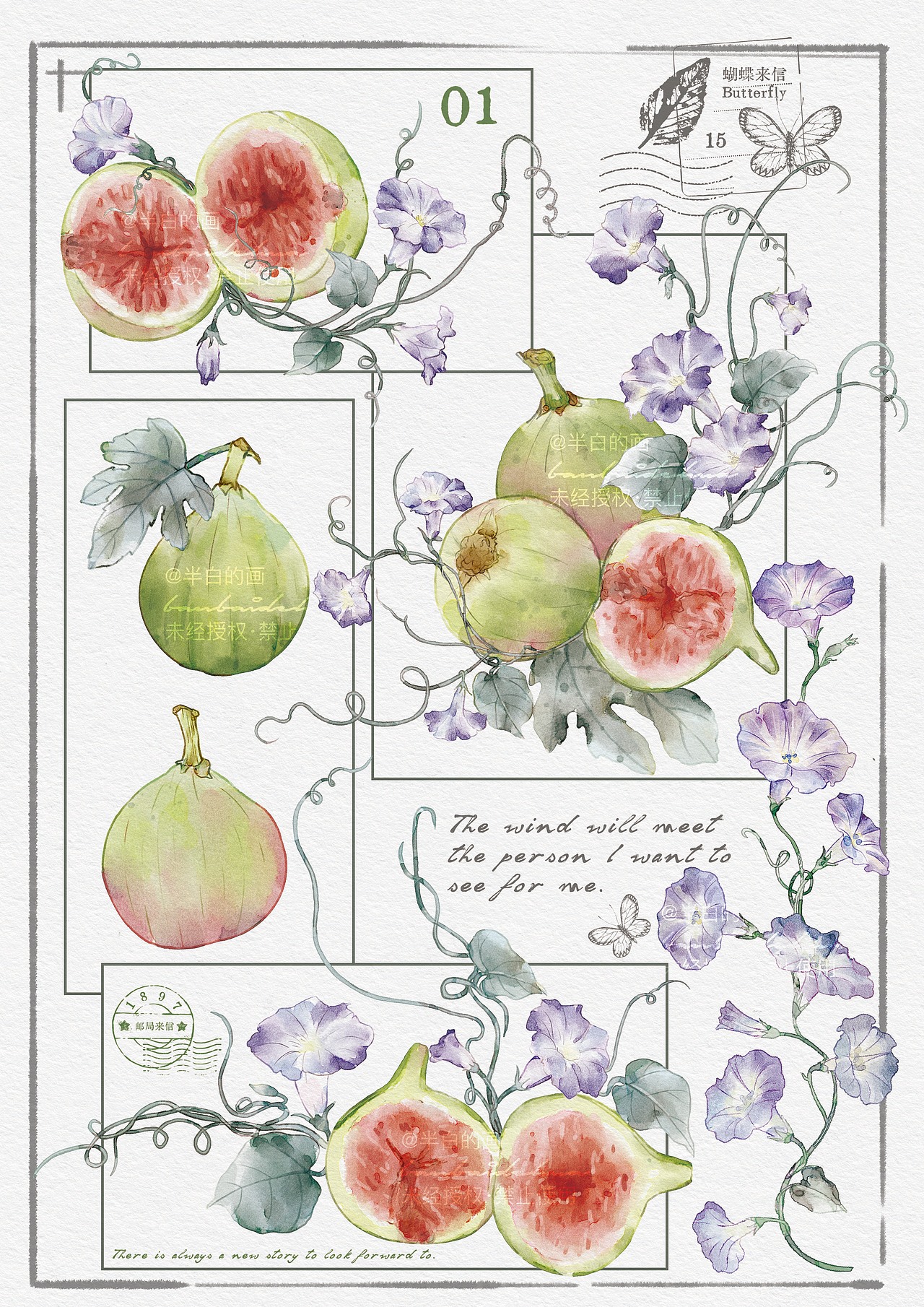 植物花卉图鉴插画