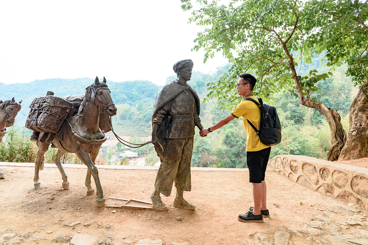 2019云南西双版纳茶之旅