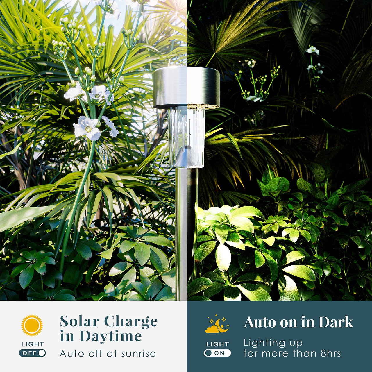 3月亚马逊作品集