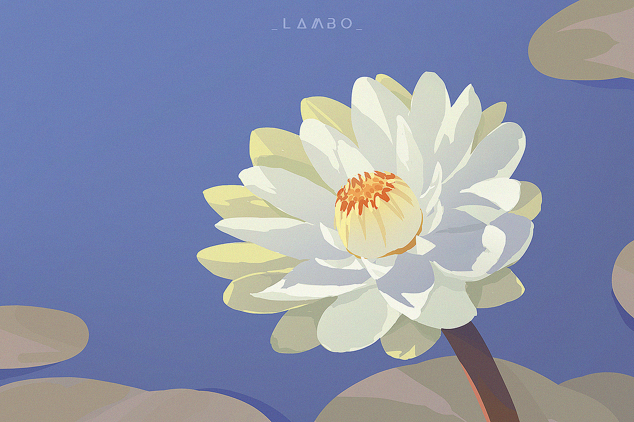 速涂概括-Day 03「白睡莲」（图ZMzIwNDM3Njc2） - 商业插画 - 站酷设计师_LAMBO_原创素材 - 站酷ZCOOL