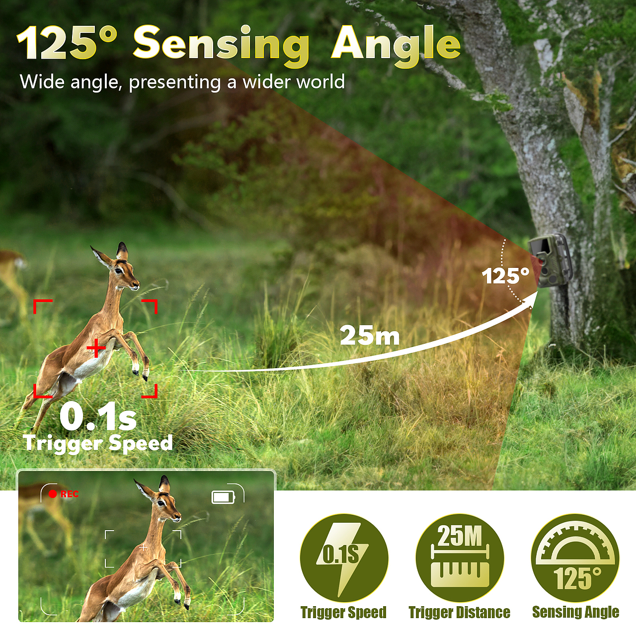 亚马逊打猎相机主图高级A+(4)