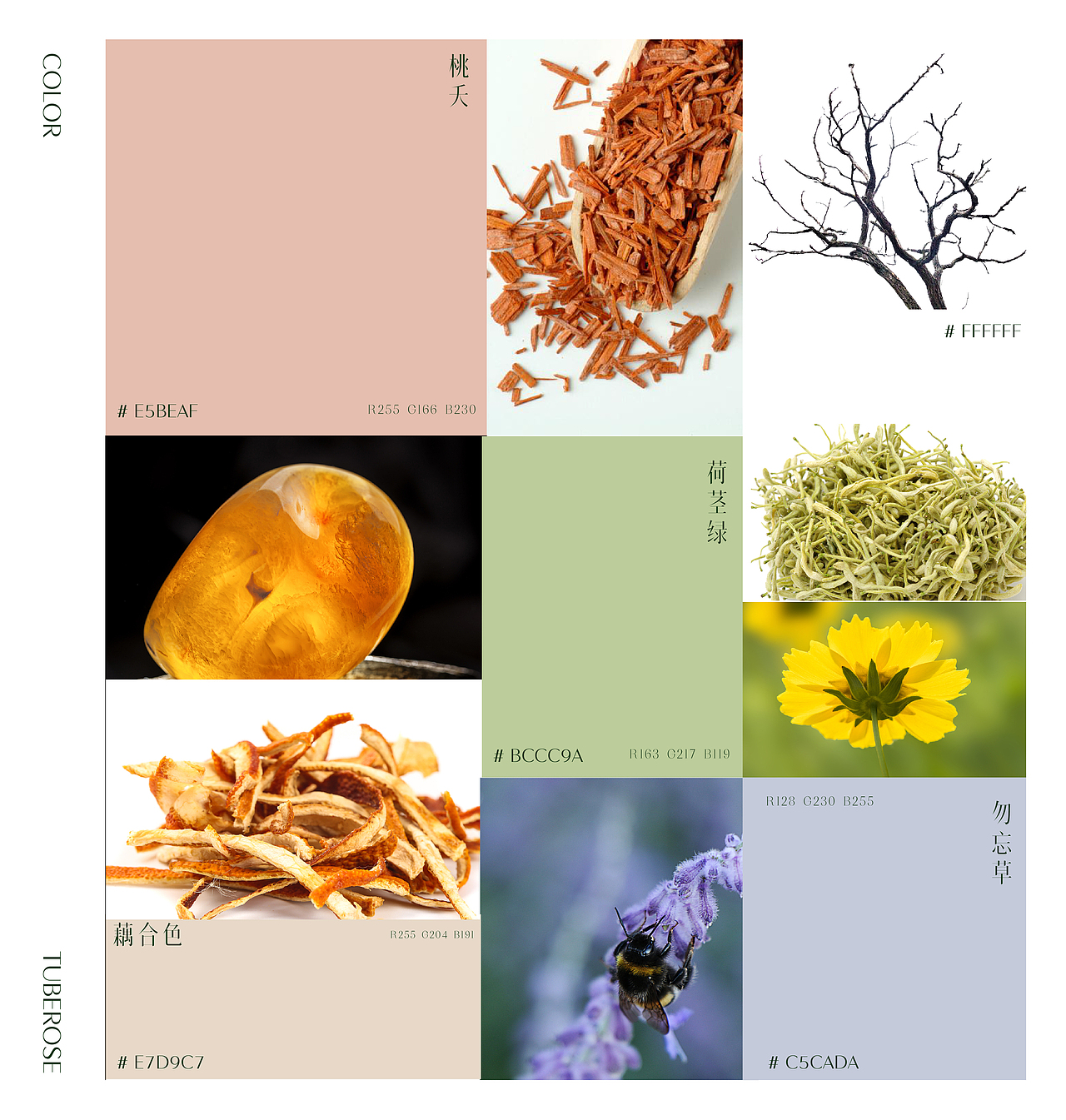 TUBEROSE | 植物微醺系列包装设计(图ZMzA3MTE0NzI4) - 包装 - 站酷设计师青轶设计原创素材 - 站酷ZCOOL