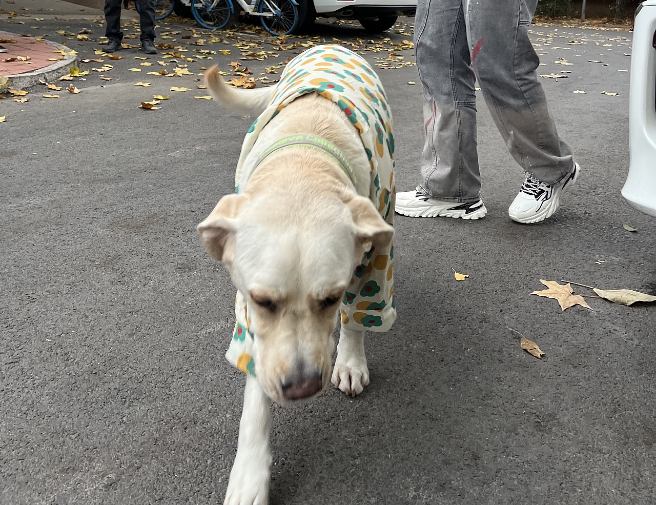 缓存的温柔（图ZMzIzMzA2MDQ4） - 人文/纪实摄影 - 站酷设计师blink经纬原创素材 - 站酷ZCOOL