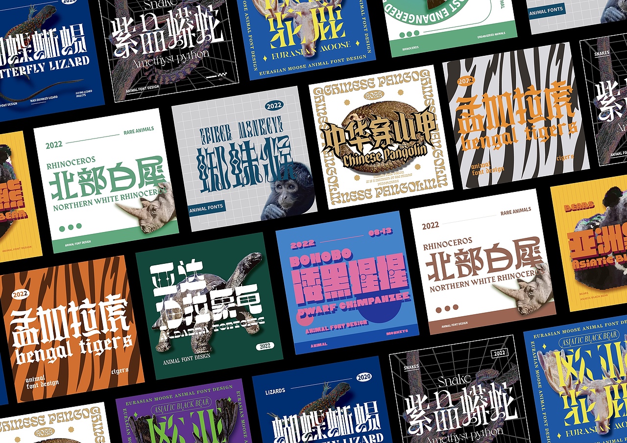 字体设计-动物园（图ZMzEzNzc0Mzg0） - 字体/字形 - 站酷设计师恭贺新原创素材 - 站酷ZCOOL