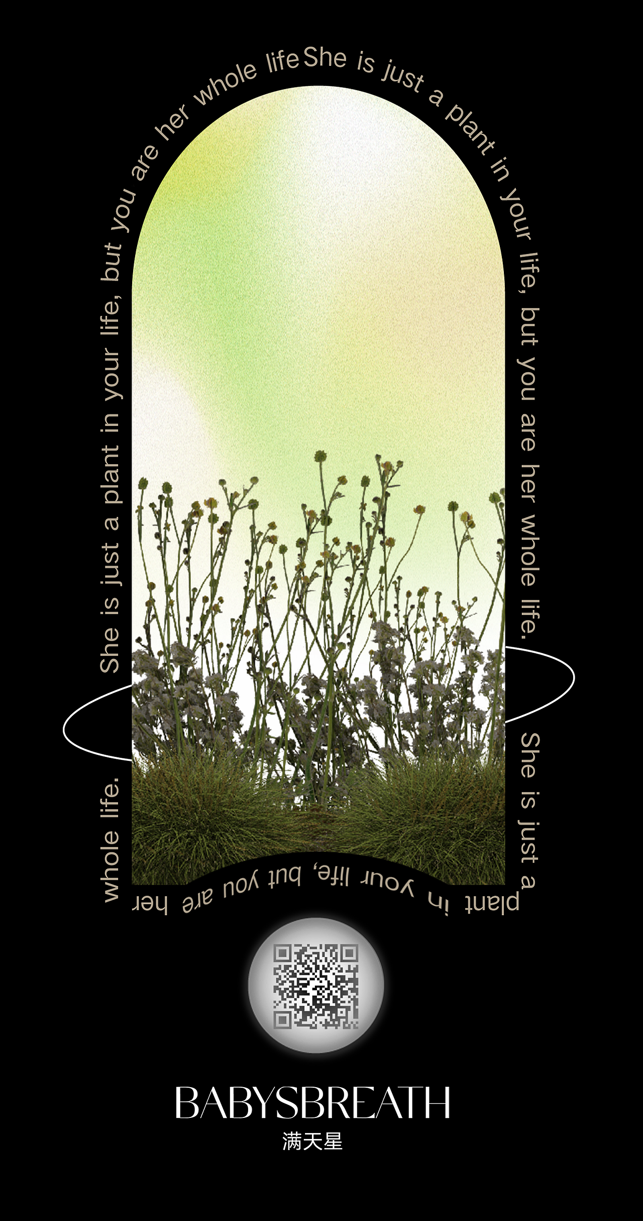 #2022青春答卷#彼岸花园-HANA TEXT