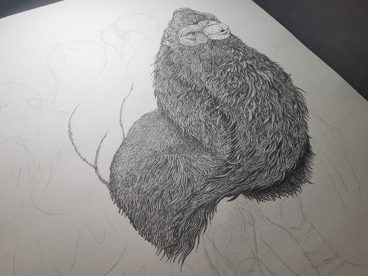 2024.02.27毣柞山海-北山经-虢山-骆驼(横版)