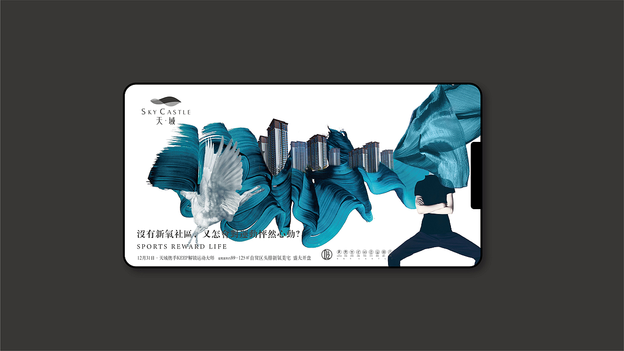 新中式地产品牌识别系统设计(蓝光天域)