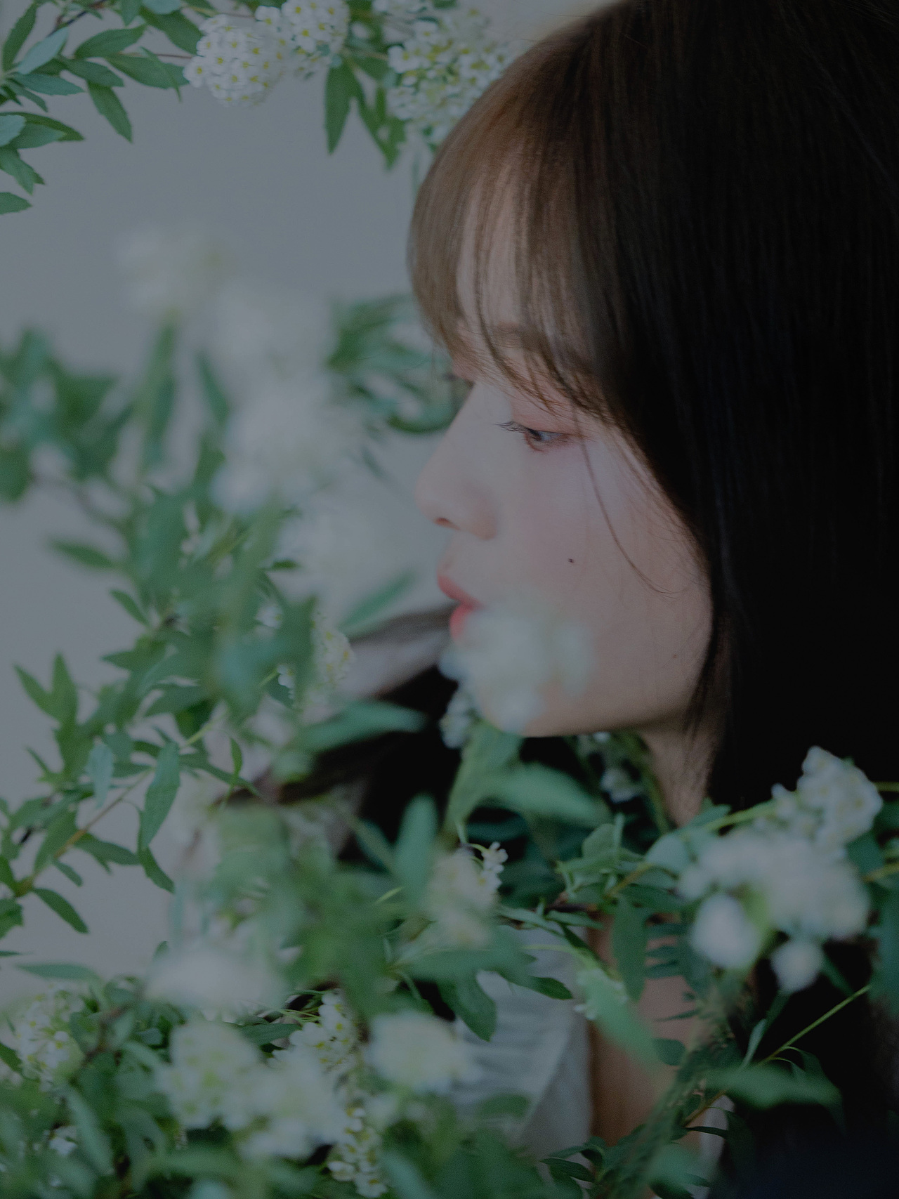 那些與綠意相伴的日子（圖ZMzEyNjM2MDEy） - 人像攝影 - 站酷設(shè)計師今尋本尋Kairos原創(chuàng)素材 - 站酷ZCOOL