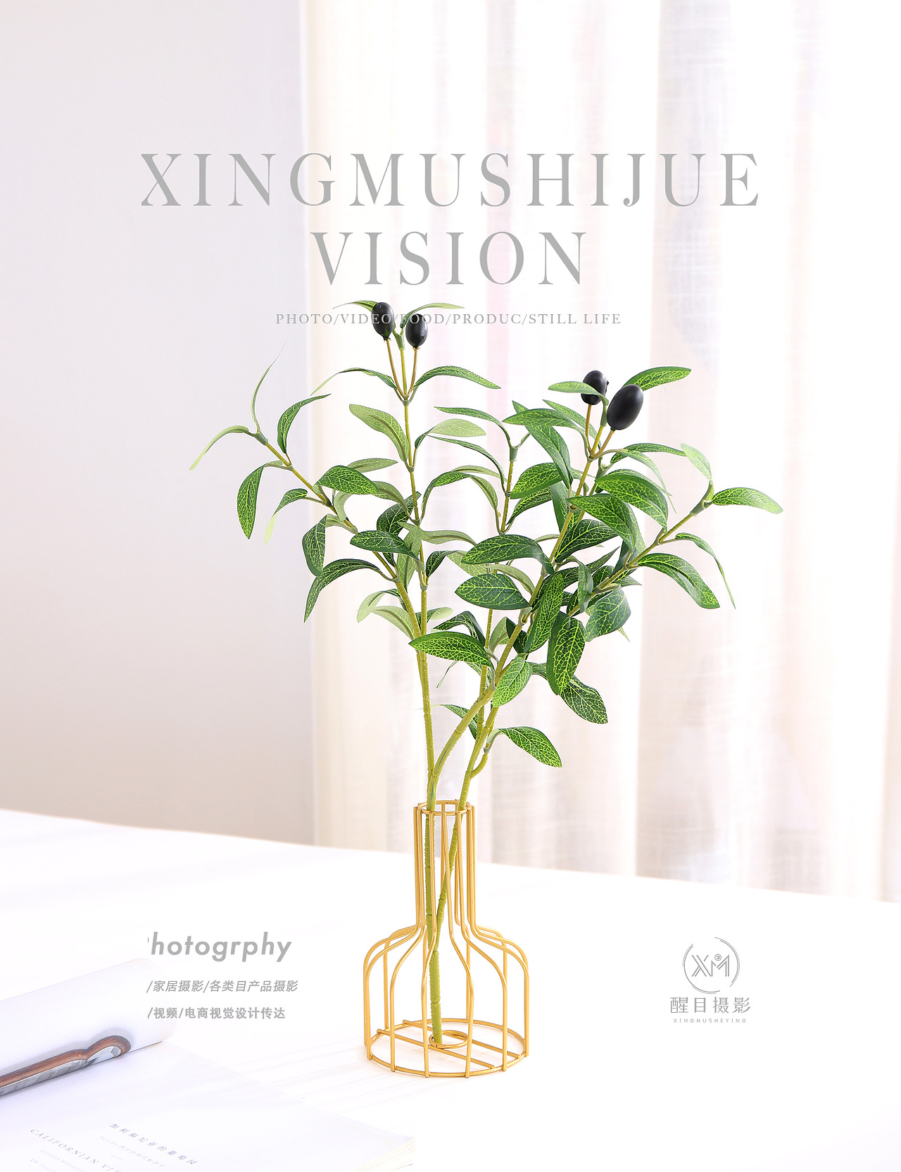 仿真植物/绿植/橄榄枝（图ZMzcwNDYwNTEy） - 产品摄影 - 站酷设计师义乌醒目文化传媒原创素材 - 站酷ZCOOL