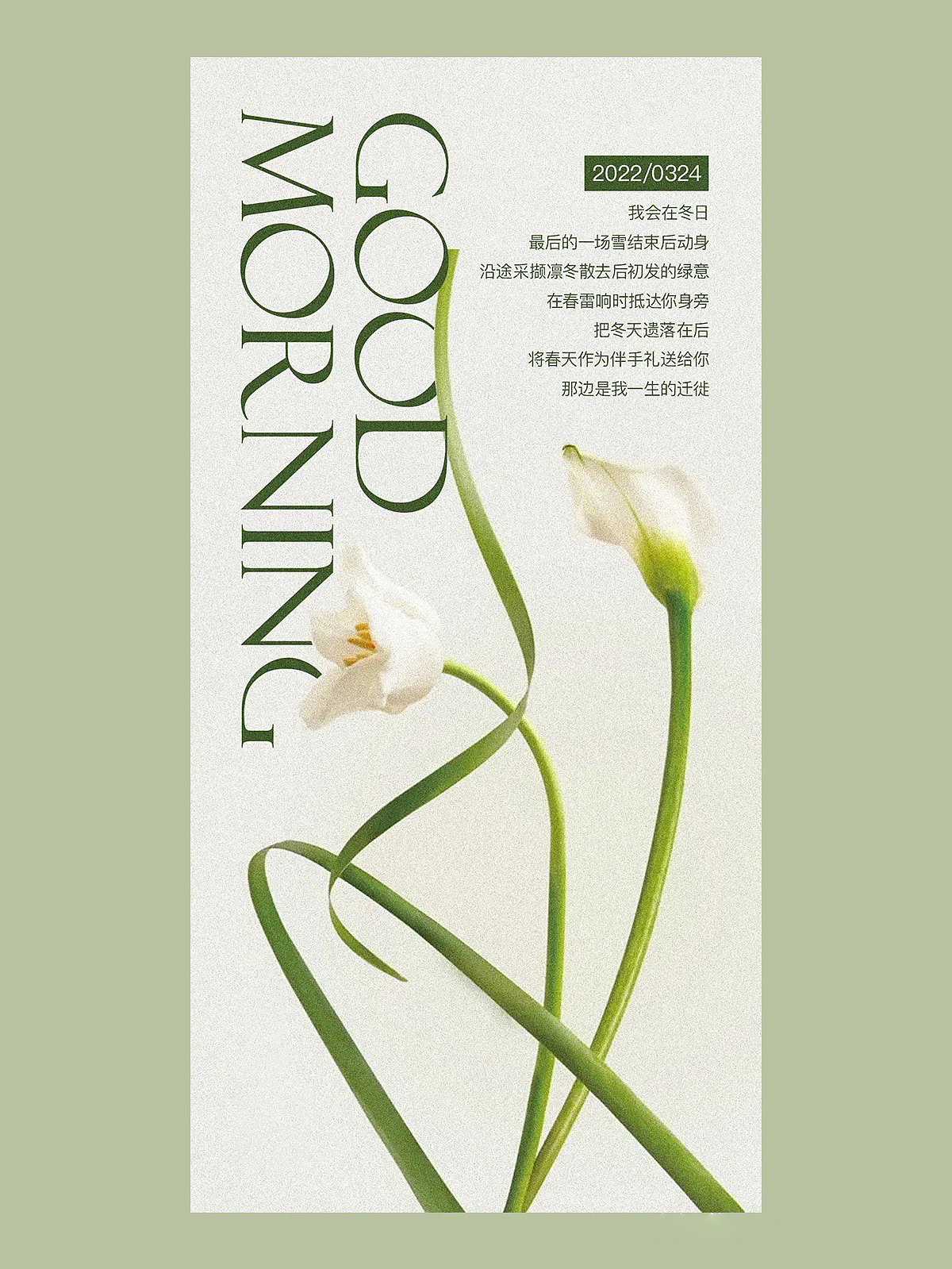 海报1（图ZMzAwMjAxNTY0） - 海报 - 站酷设计师司令吖原创素材 - 站酷ZCOOL