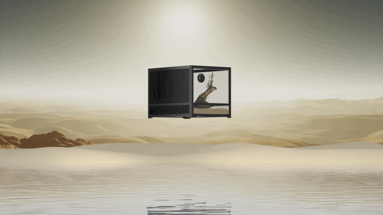 Glass Reptile Terrarium - 产品动画视频