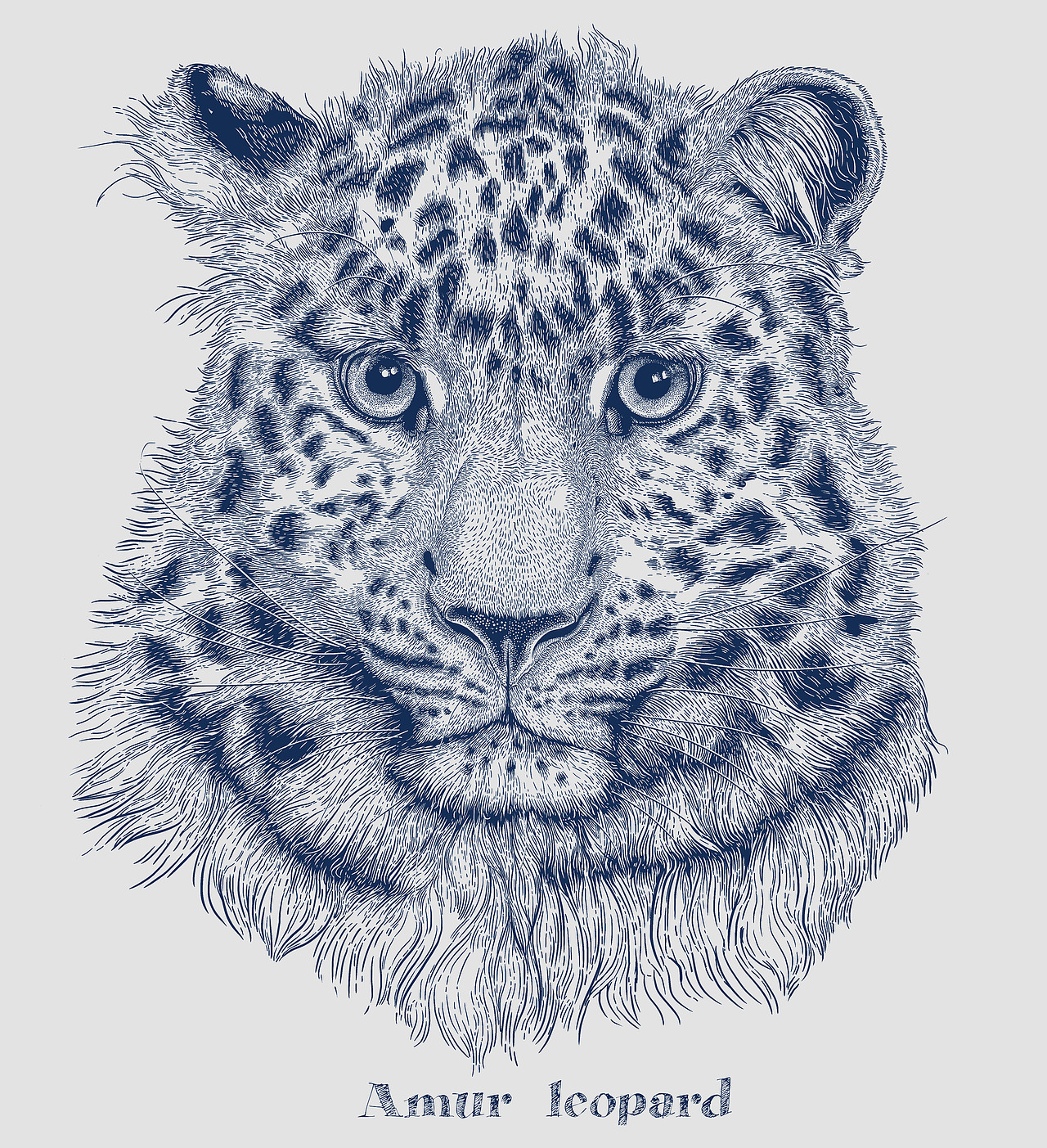 动物插画-豹豹（图ZMzYzMzA1MTY4） - 艺术插画 - 站酷设计师狮子大亨原创素材 - 站酷ZCOOL