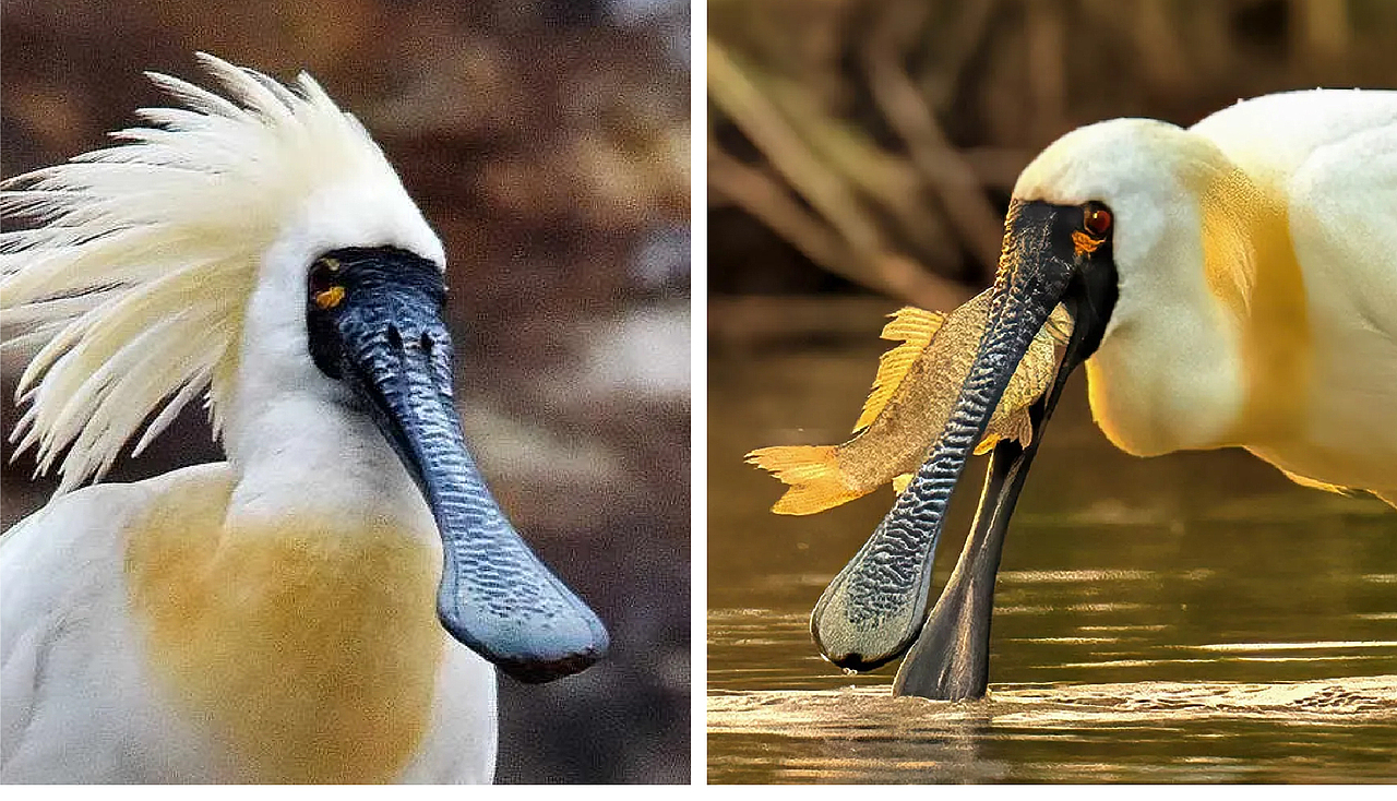 浙江玉环漩门湾湿地公园