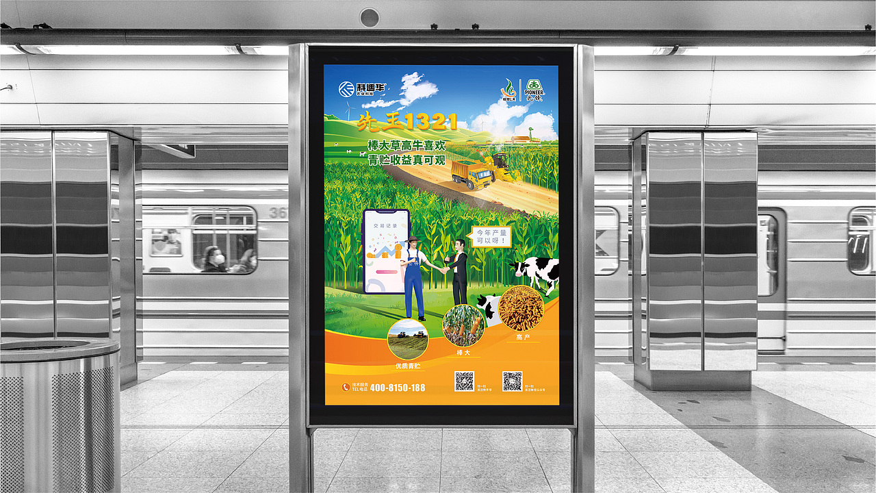 农业\玉米种业\先锋品牌\产品海报设计项目（图ZMzE3MTI2NDgw） - 海报 - 站酷设计师红微原创素材 - 站酷ZCOOL