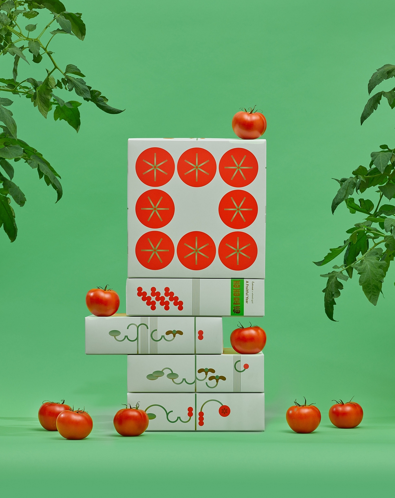 设计分享/A Fruitful Year（图ZMzE5NDQwNTA0） - 包装 - 站酷设计师BranD杂志原创素材 - 站酷ZCOOL