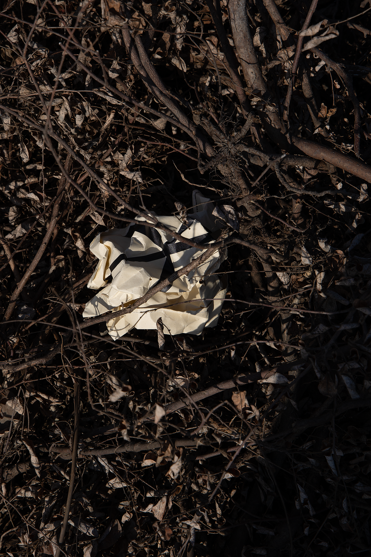 有趣有盒子·纸现场方块计划