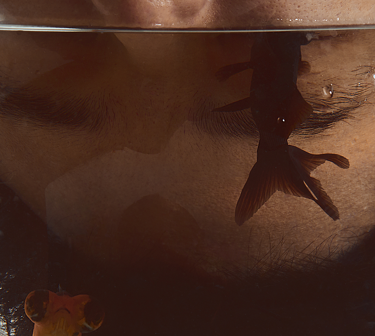 自拍 | 人与鱼的对话