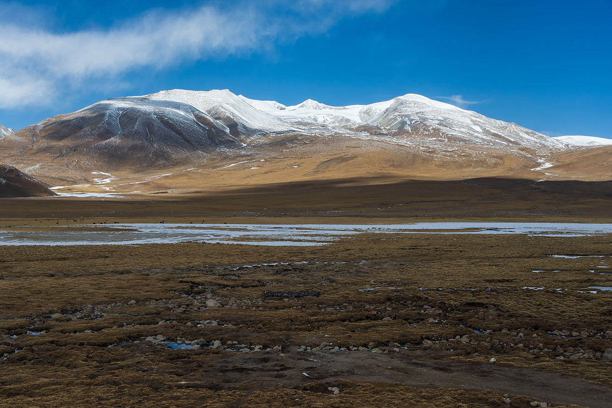 青藏铁路沿线风光