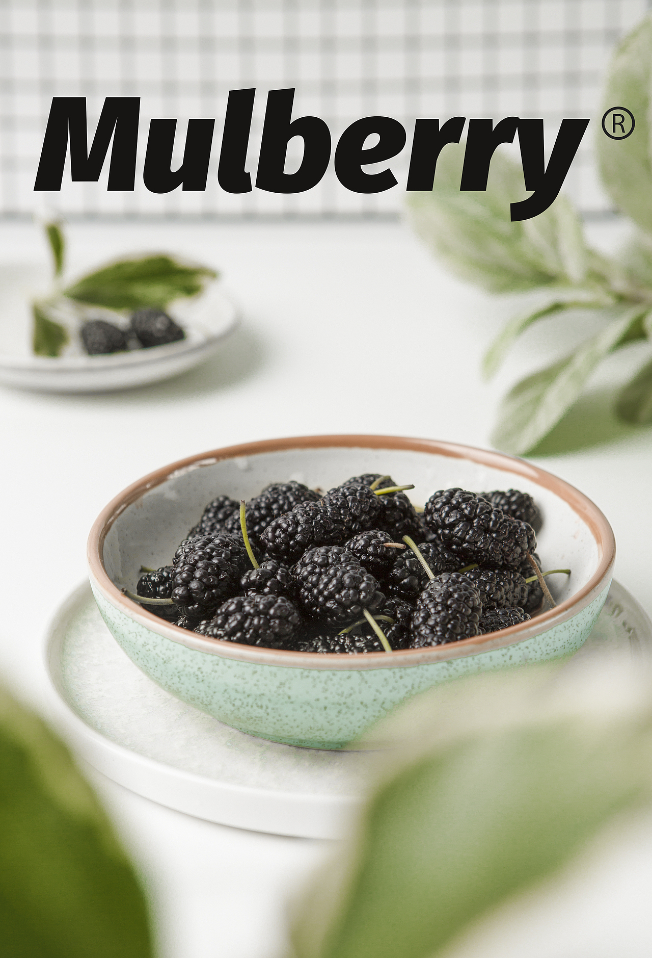 家里有啥拍啥系列