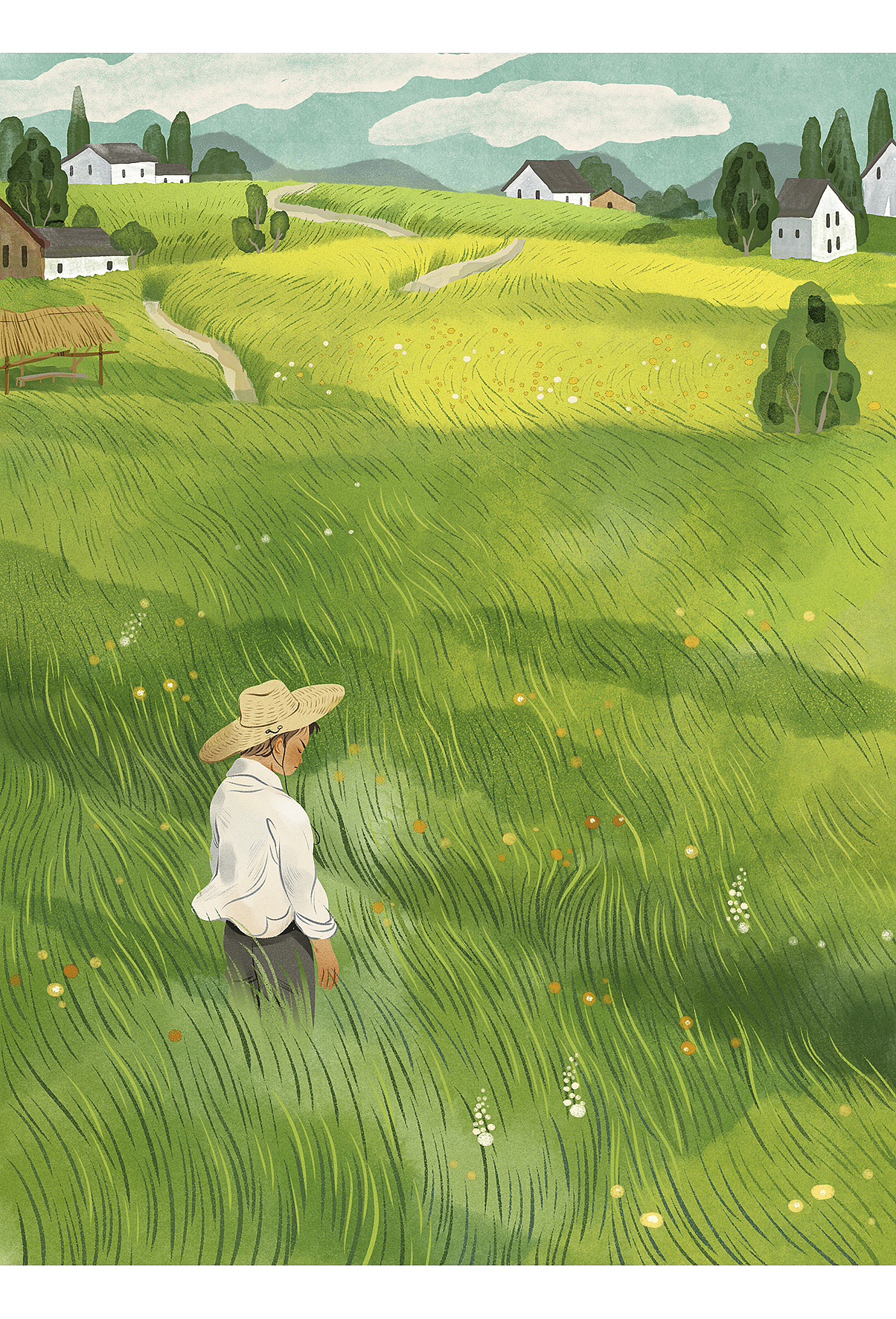 一些儿童文学封面