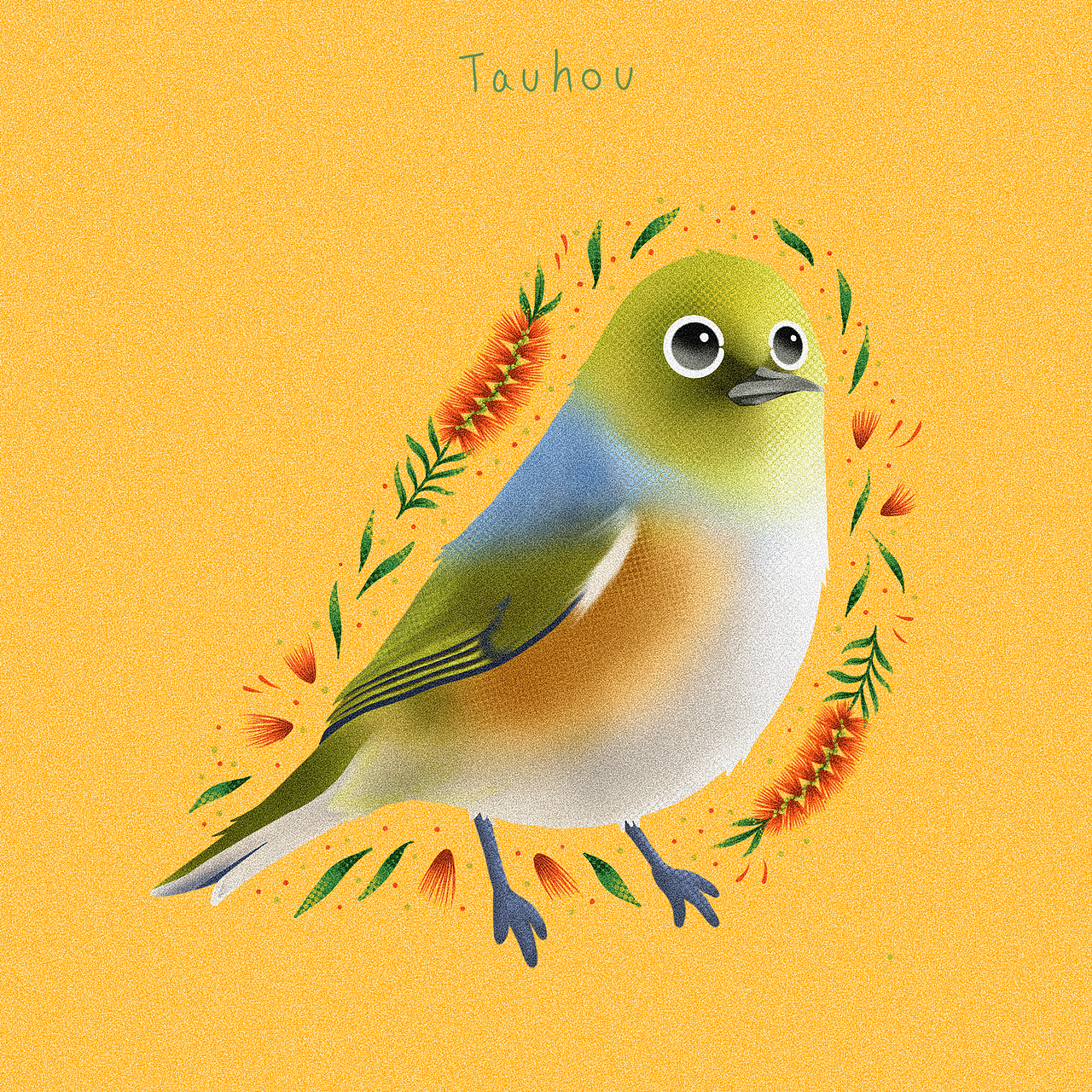 灰胸绣眼鸟,毛利名字是Tauhou