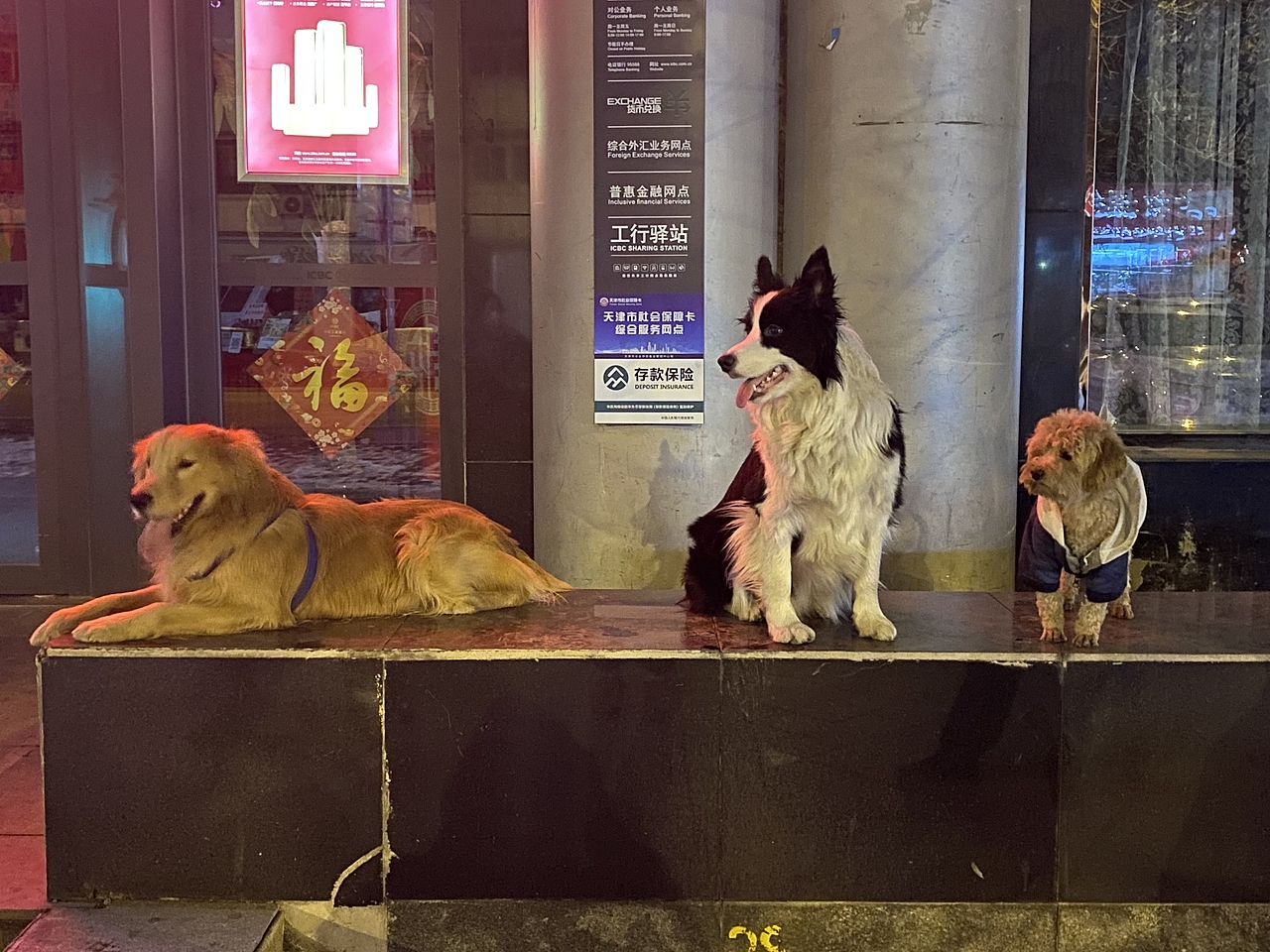 汪汪队合成海报设计（图ZMzIxMDUzODQw） - 海报 - 站酷设计师大阪设计柯南川原创素材 - 站酷ZCOOL