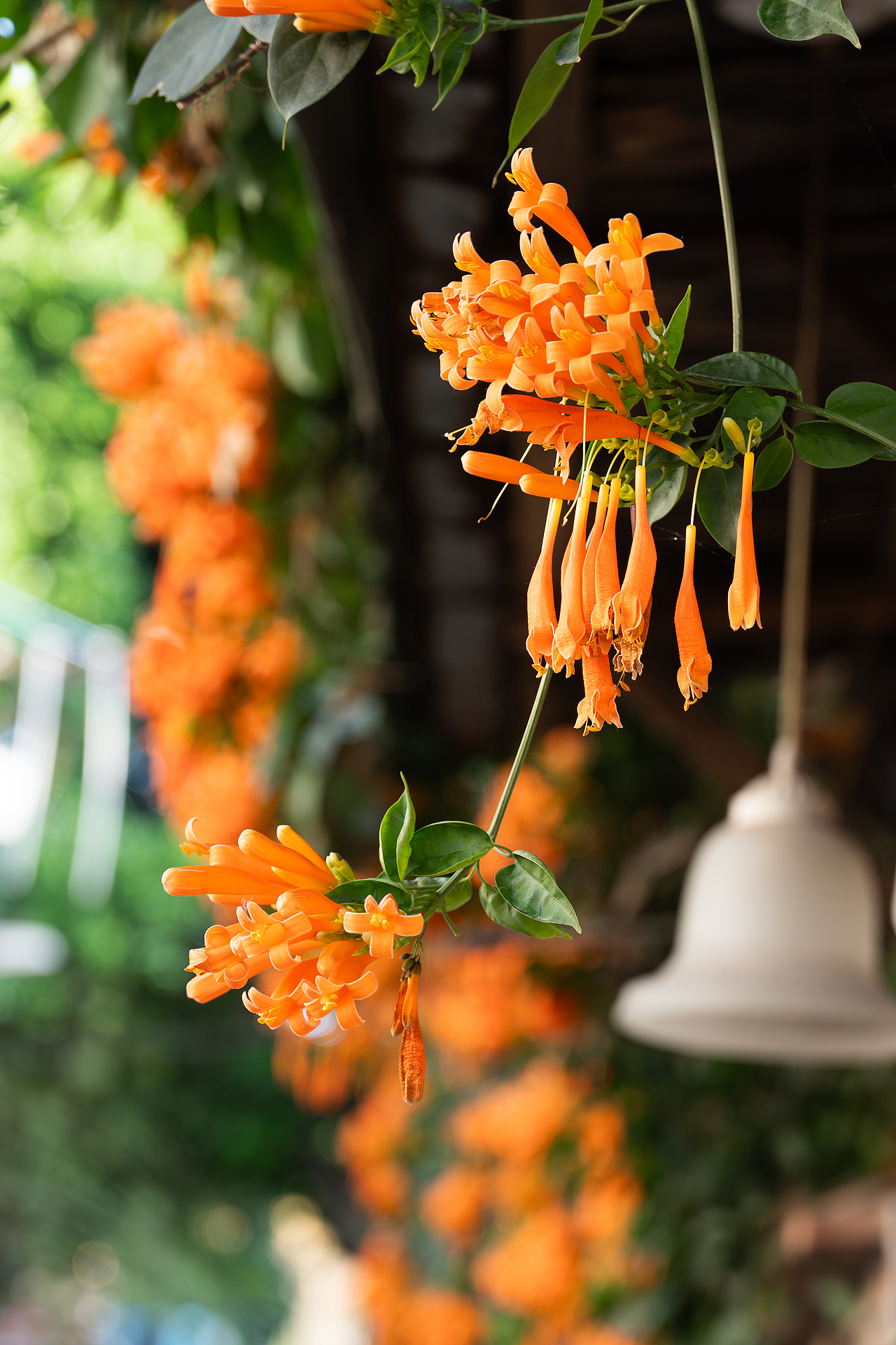 使用 SONY A7M4 搭配 SONY FE20-70mm F4 G 拍摄