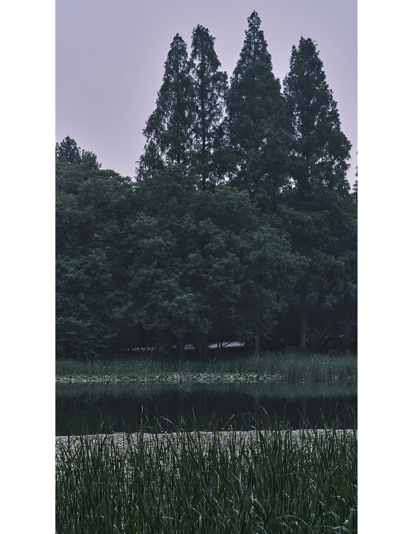 杭州乌龟潭景区(节选)