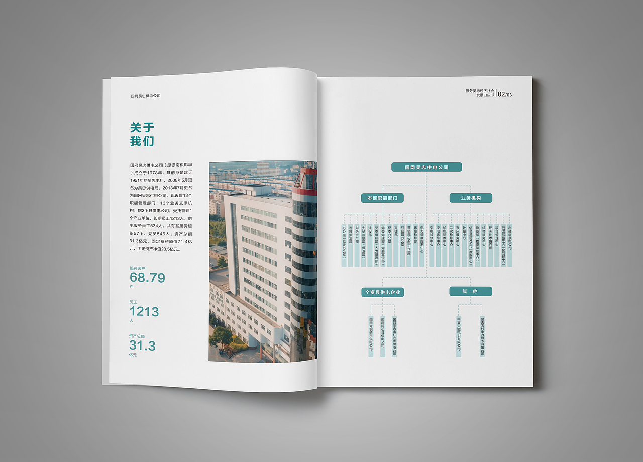 国网服务地方经济发展白皮书