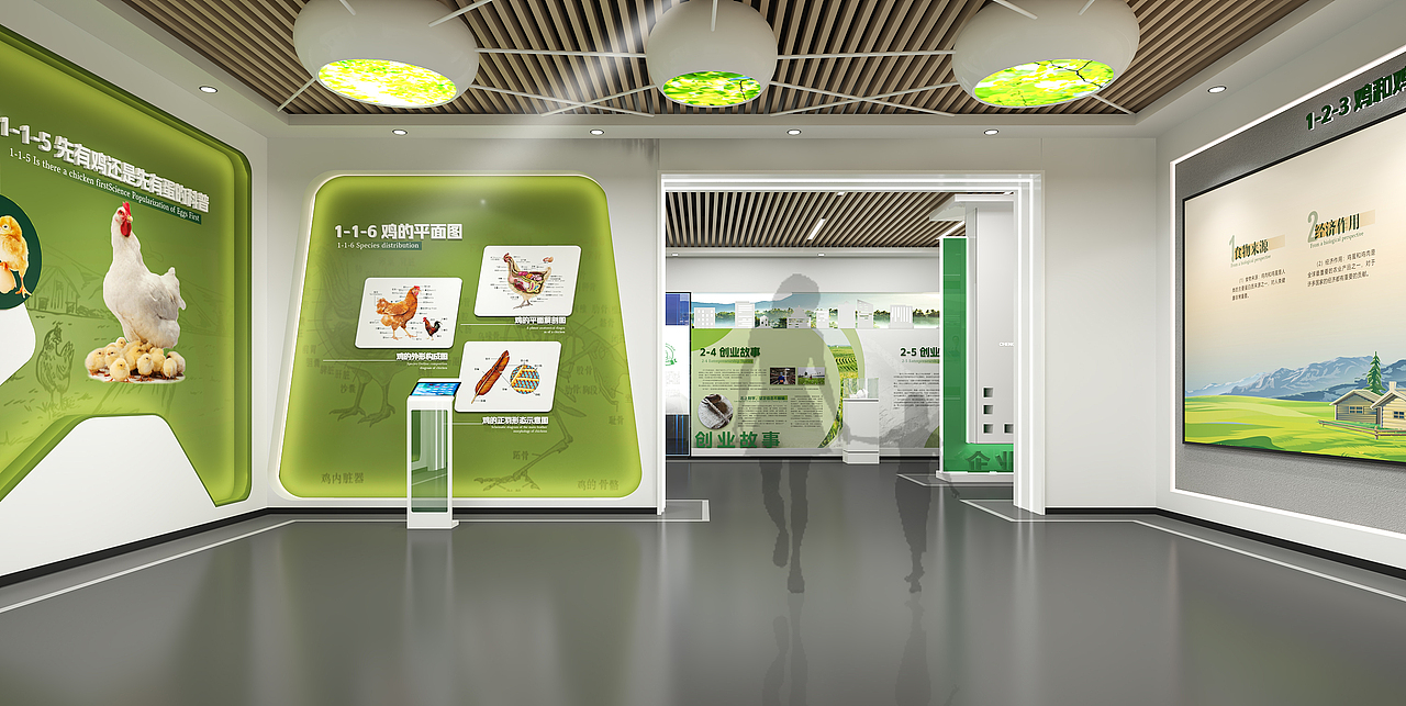 郑州设计丨展厅：养鸡企业展厅设计方案
