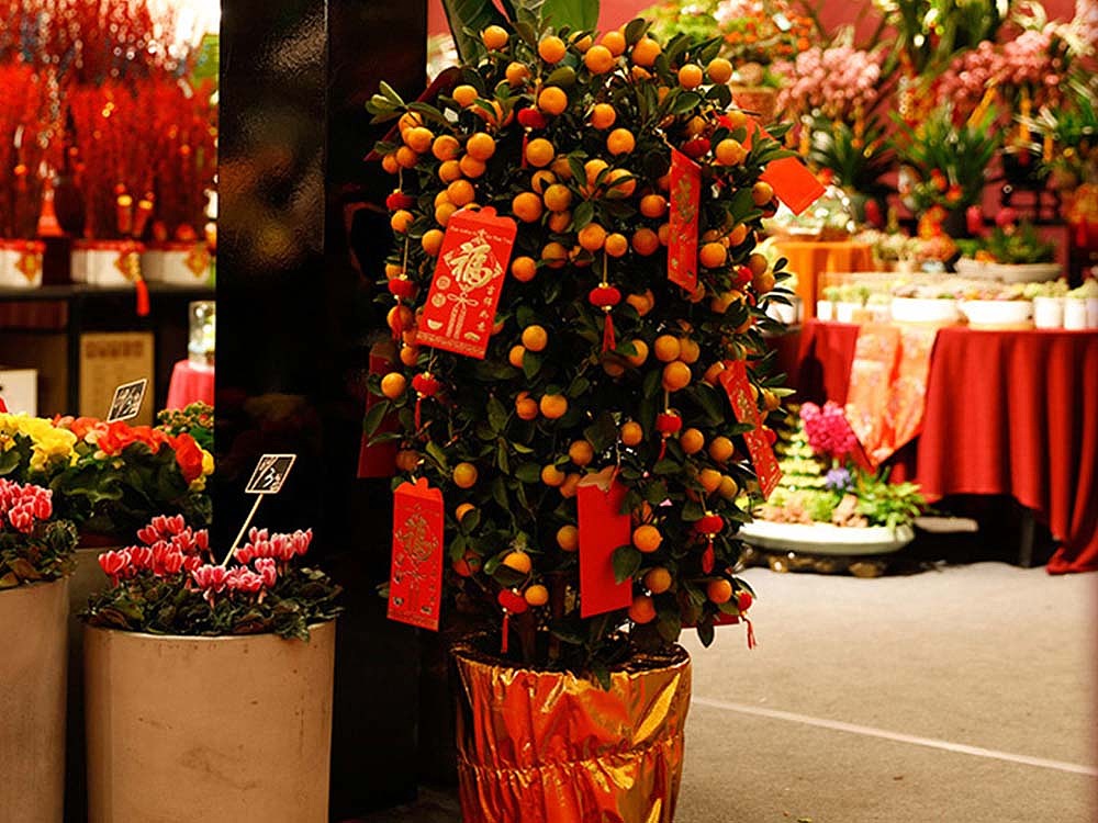 百花迎福 中国剪纸 纸雕 纸艺 手工 手艺 非遗