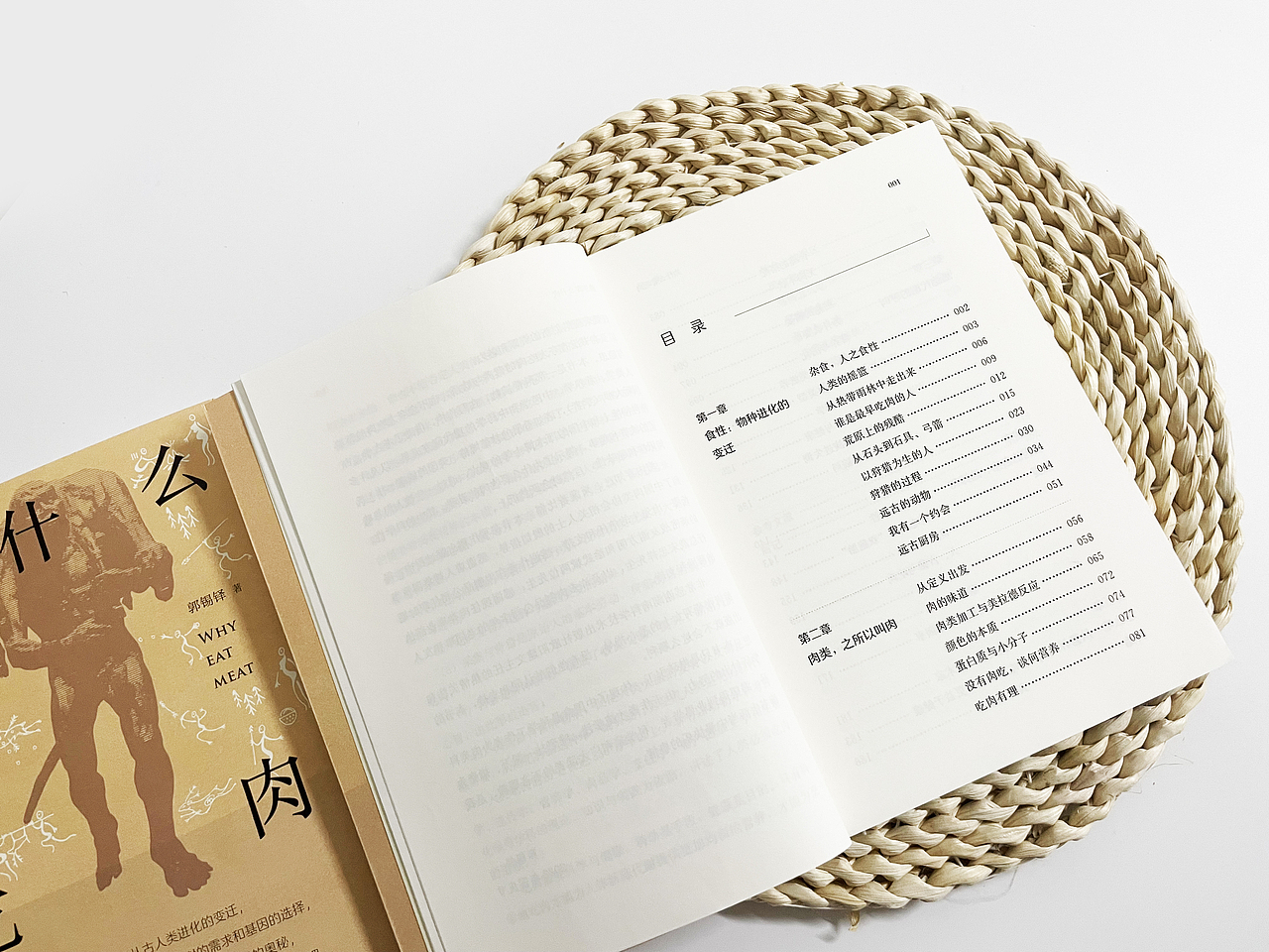 《为什么要吃肉》书籍设计