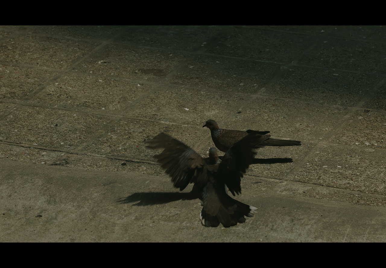 从太古到旺角,感受这座城 -- 香港