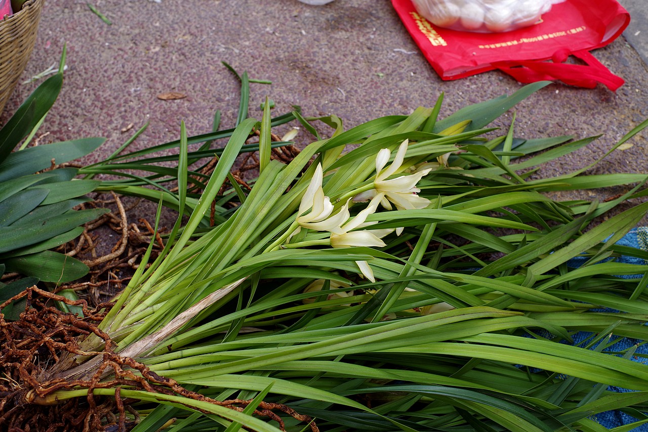 赶云南大集,看稀奇,食爆浆肥肠
