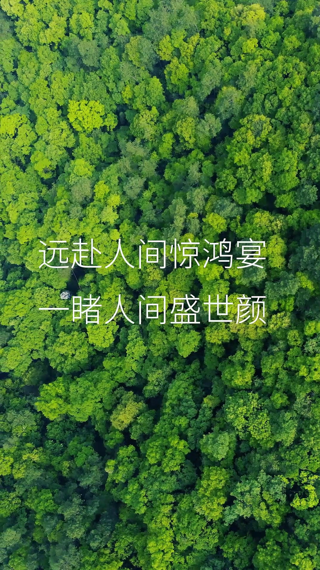 辣子鸡宣传（图ZMzYyMjY2Njcy） - 宣传片 - 站酷设计师随月出山去原创素材 - 站酷ZCOOL