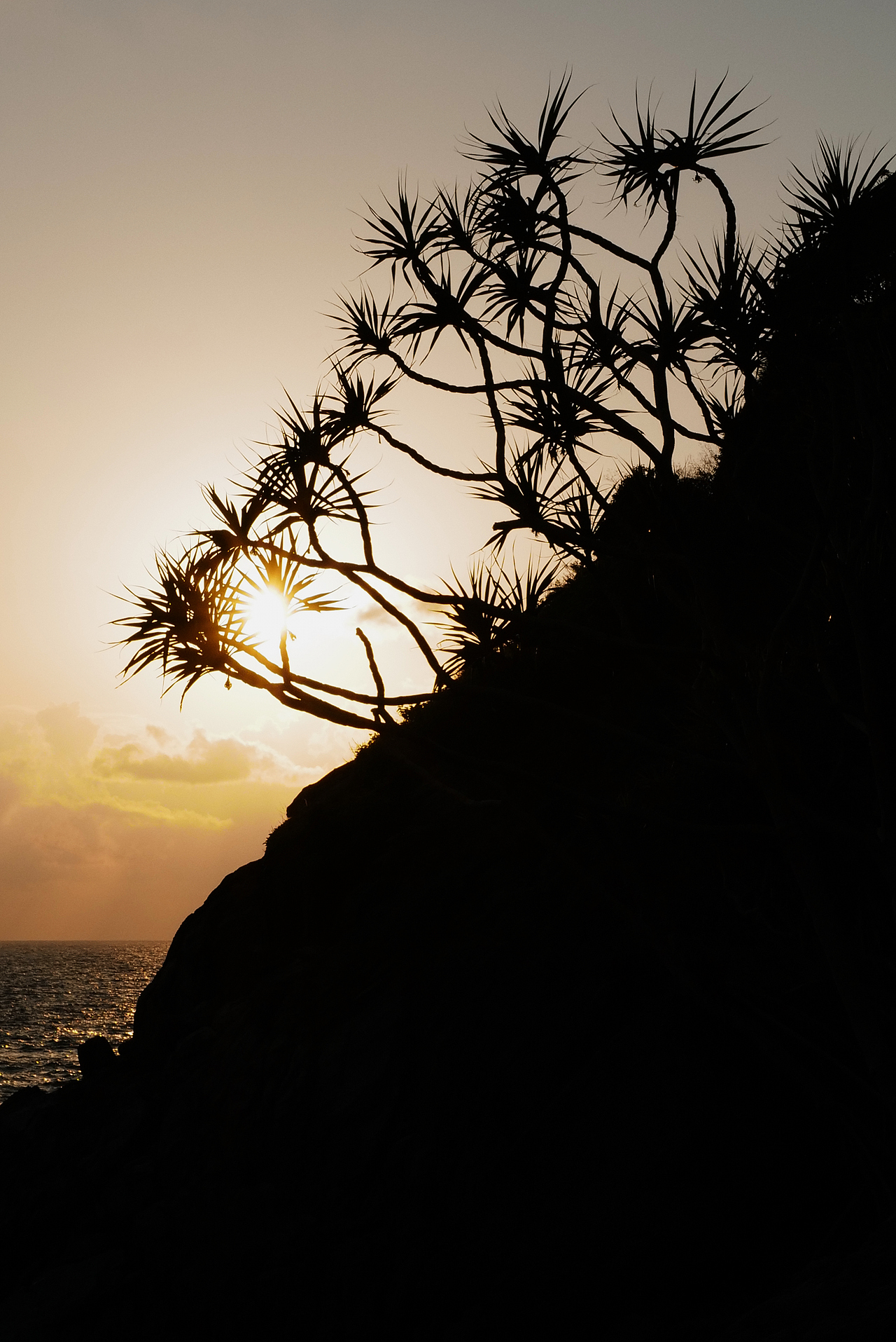 普吉岛的随拍记录