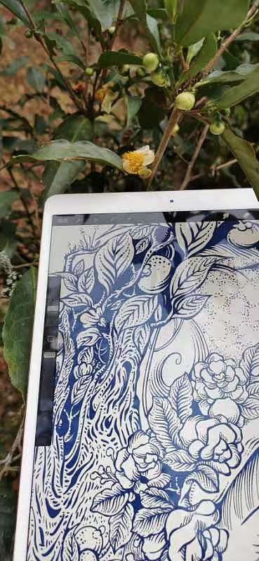 布朗少女（图ZMzQ4NzAzNTky） - 商业插画 - 站酷设计师番茄小山猪原创素材 - 站酷ZCOOL