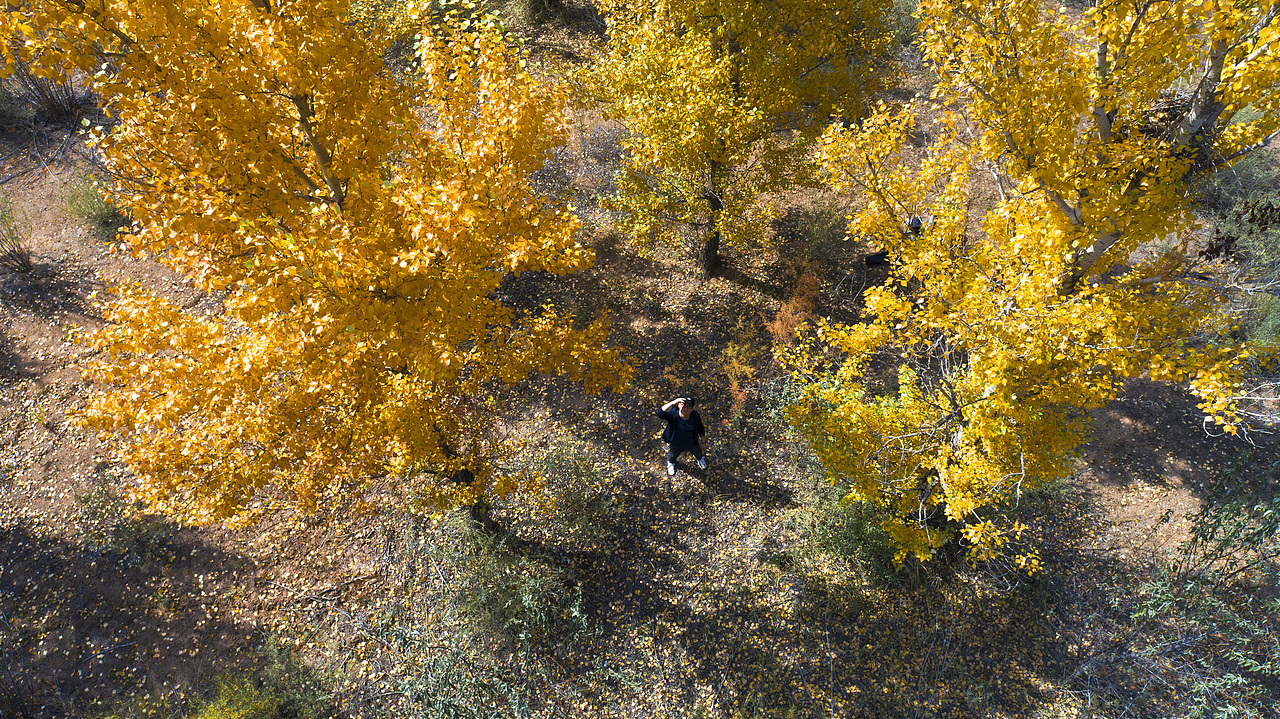 西北的秋（图ZMzUyODYyODcy） - 风光摄影 - 站酷设计师Tol去发现美原创素材 - 站酷ZCOOL