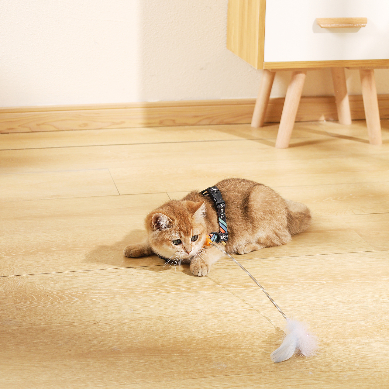 宠物用品拍摄（图ZMzMyNDE5ODg0） - 产品摄影 - 站酷设计师何为心安原创素材 - 站酷ZCOOL