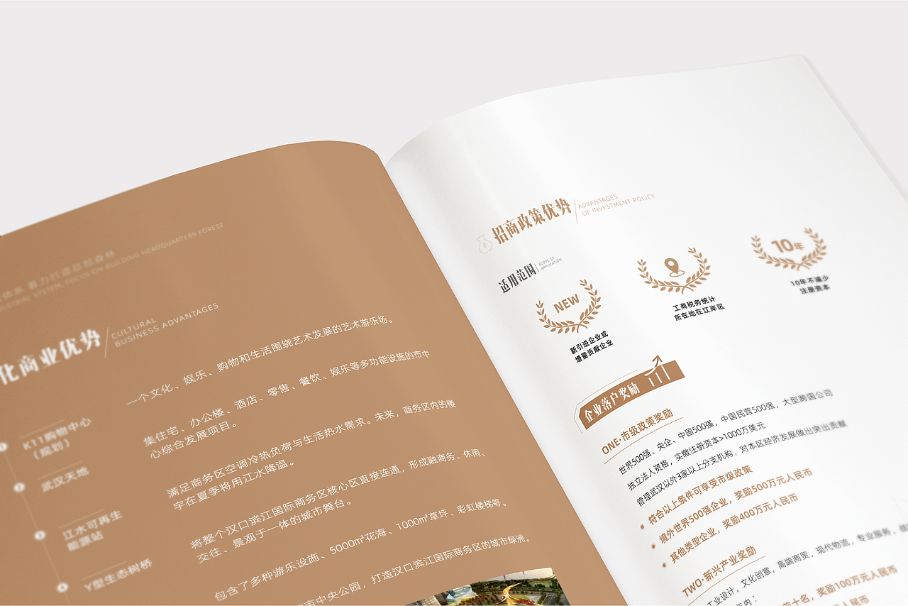 【招商地图好拍档】汉口滨江国际商务区招商服务手册