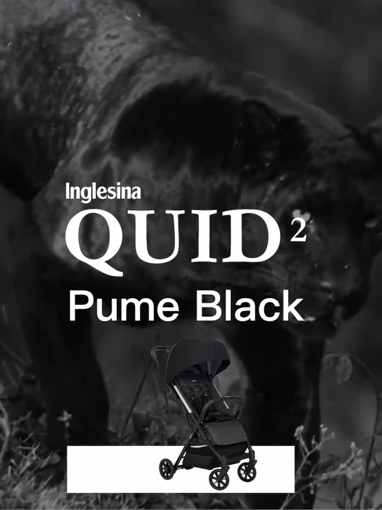 婴儿儿童推车视频抖音广告平面动态视频设计